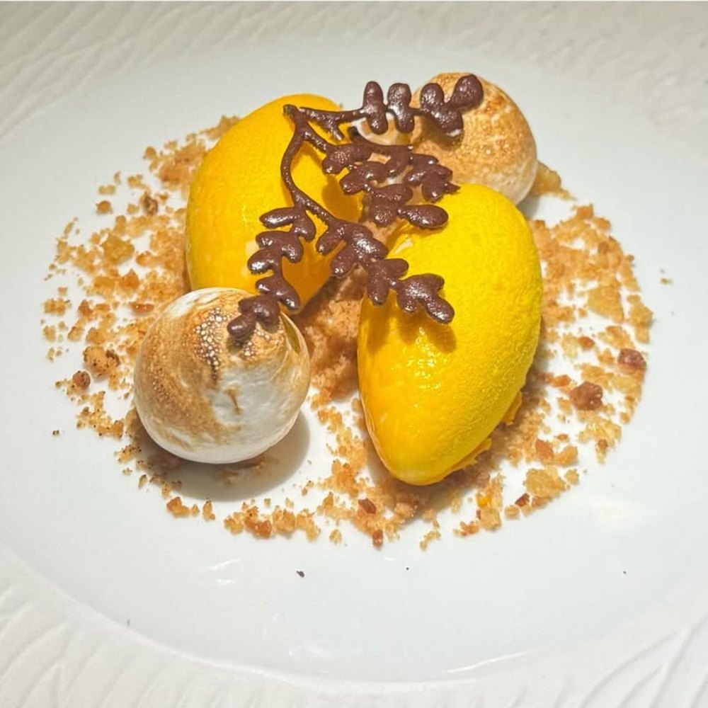 Mango sorbet with chocolate tuile and toasted crumb